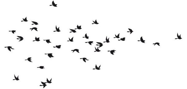 Naklejka Fanastick Birds in Flight