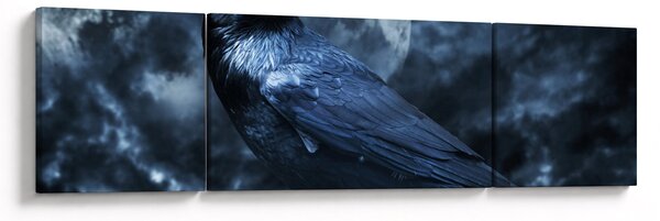Obraz - Gawron (170x50 cm)