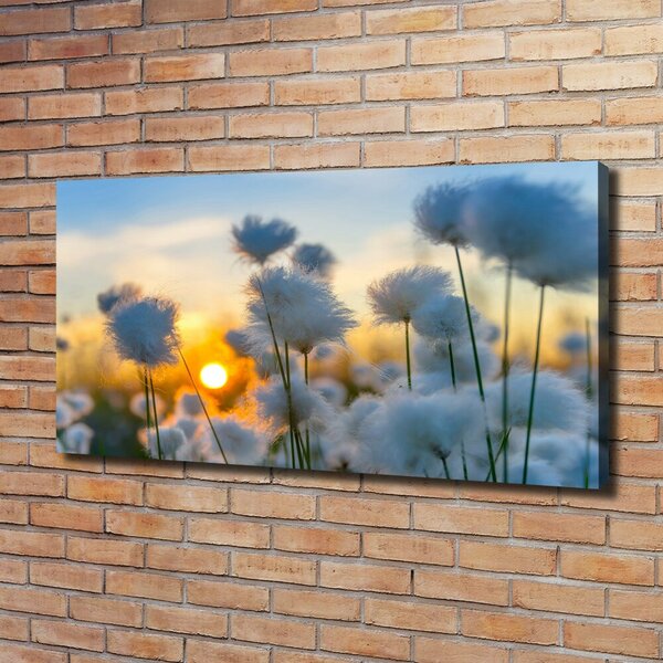 Obraz canvas Romantyczna Natura w Kwiatach