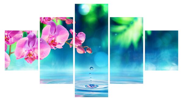 Obraz - Orchidea (125x70 cm)