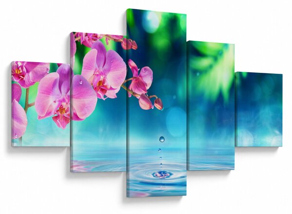 Obraz - Orchidea (125x70 cm)