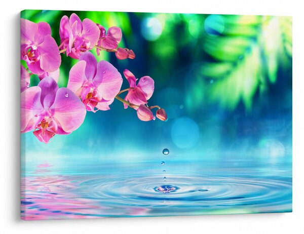 Obraz - Orchidea (70x50 cm)