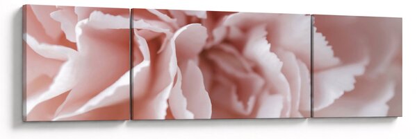 Obraz - Szczegół kwiatu (170x50 cm)