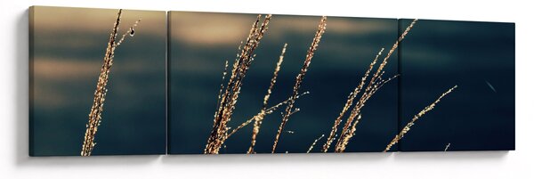 Obraz traw (170x50 cm)