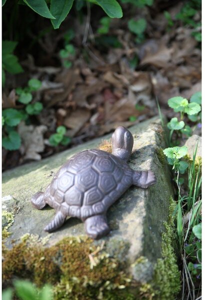 Metalowa figurka ogrodowa Turtle – Esschert Design