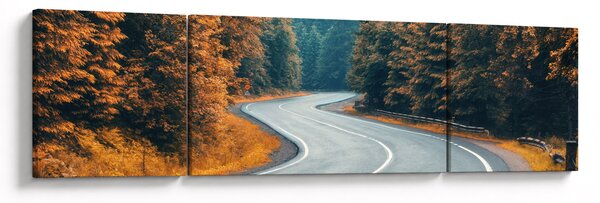 Obraz - Kręta droga (170x50 cm)