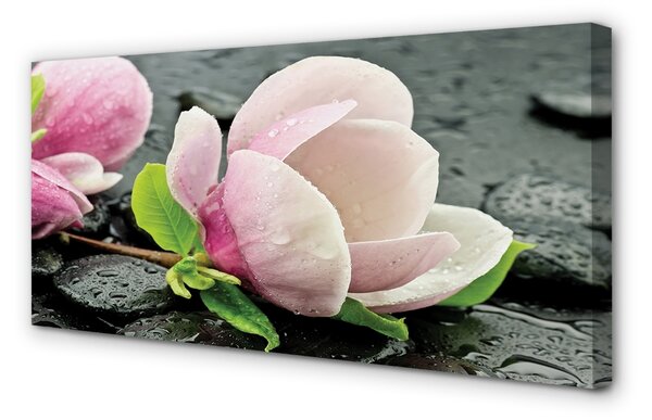 Obraz canvas na ścianę Magnolia i Kamienie