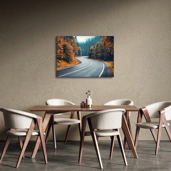 Obraz - Kręta droga (70x50 cm)