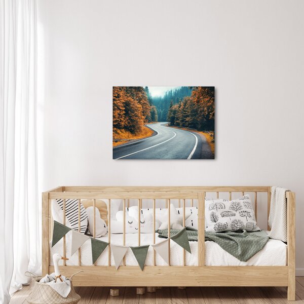 Obraz - Kręta droga (70x50 cm)