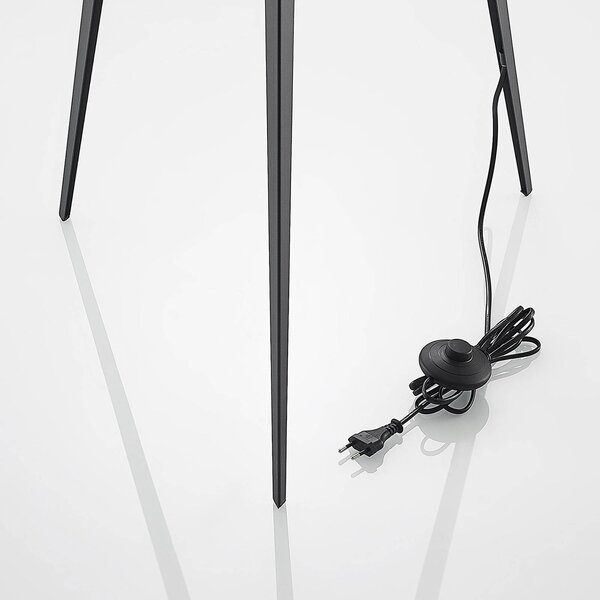 Lampa stojąca Thoralf Lindby, czarny, salon / jadalnia, metal