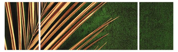 Obraz z liściem (170x50 cm)