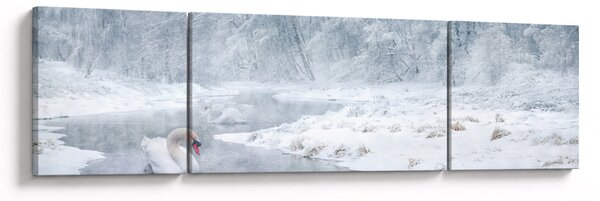 Obraz łabędzi (170x50 cm)