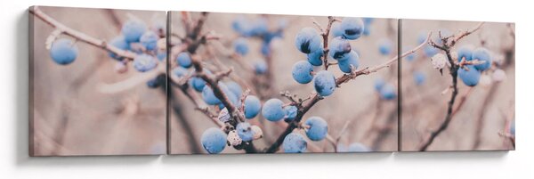 Obraz jagód na krzaku (170x50 cm)