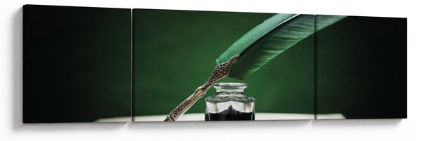 Obraz pióra do pisania (170x50 cm)
