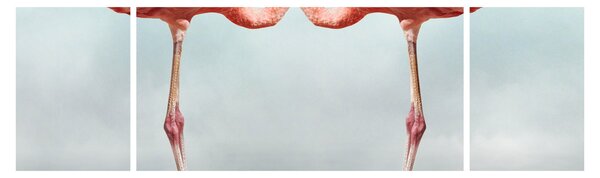 Obraz dwóch flamingów (170x50 cm)