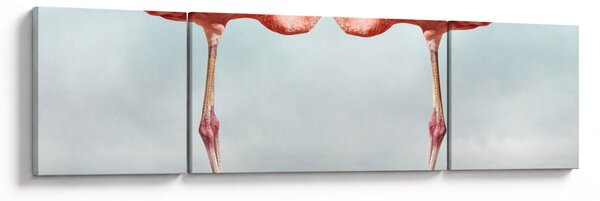 Obraz dwóch flamingów (170x50 cm)