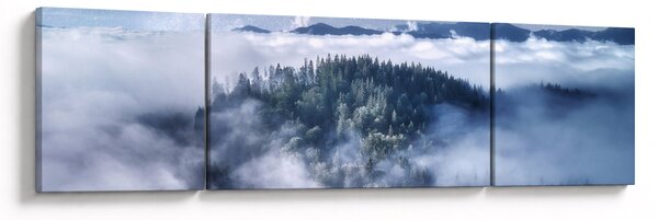 Obraz lasu we mgle (170x50 cm)