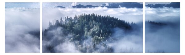 Obraz lasu we mgle (170x50 cm)