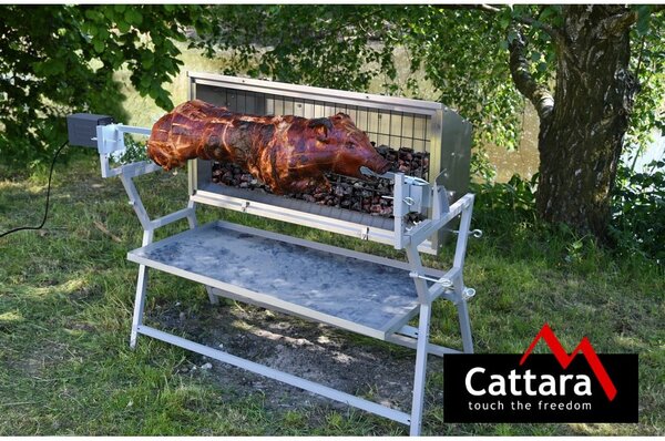 Grill na węgiel drzewny Piglet – Cattara