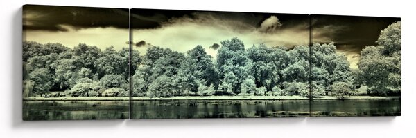 Obraz akwenu wodnego (170x50 cm)
