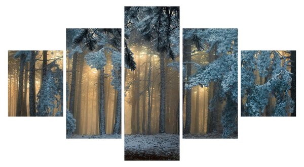 Obraz zaśnieżonego lasu (125x70 cm)