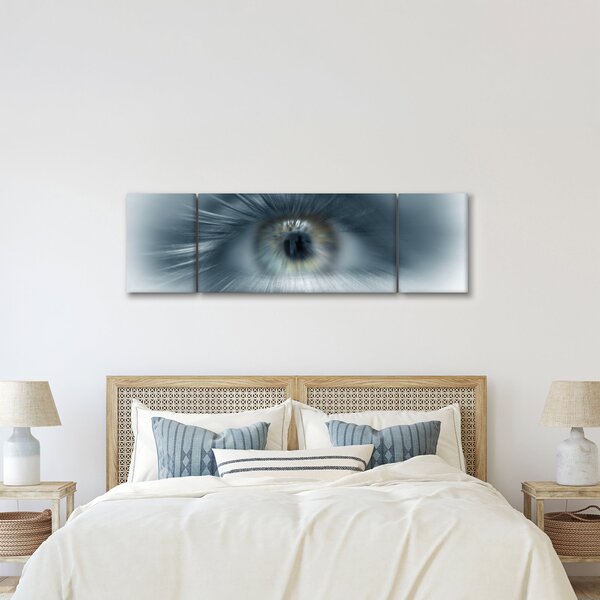 Obraz - Widok oka (170x50 cm)