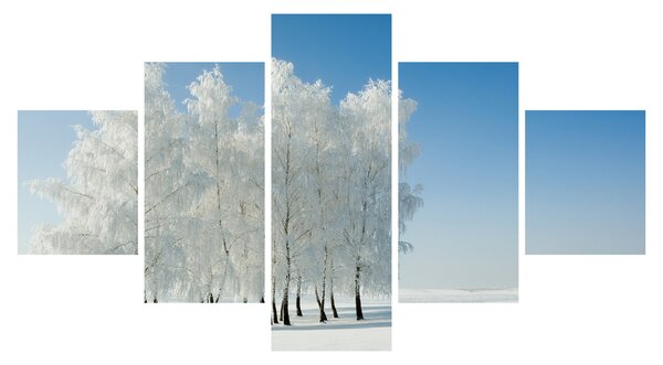 Obraz zaśnieżonego krajobrazu (125x70 cm)