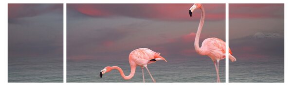 Obraz flamingów (170x50 cm)