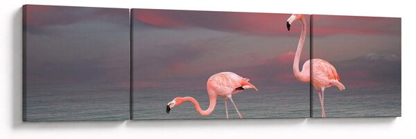 Obraz flamingów (170x50 cm)