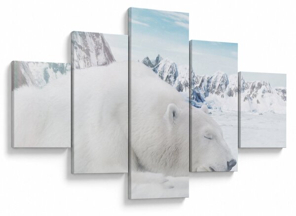 Obraz - Niedźwiedź polarny (125x70 cm)