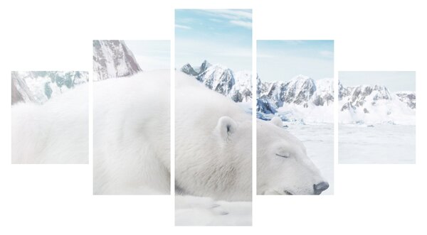 Obraz - Niedźwiedź polarny (125x70 cm)