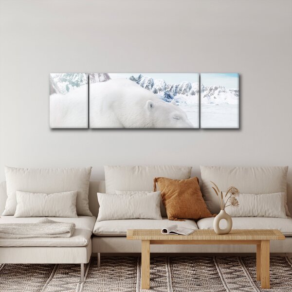 Obraz - Niedźwiedź polarny (170x50 cm)