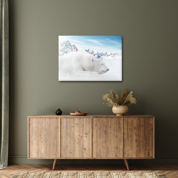 Obraz - Niedźwiedź polarny (70x50 cm)
