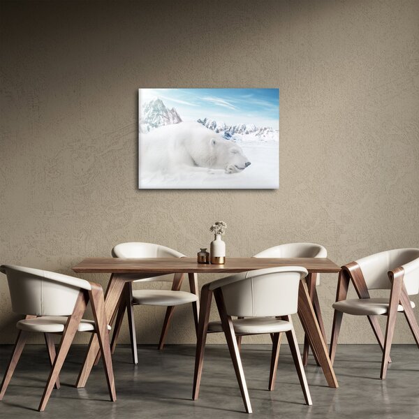 Obraz - Niedźwiedź polarny (70x50 cm)
