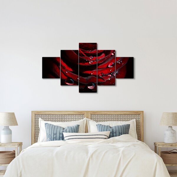 Obraz - Detal róży (125x70 cm)
