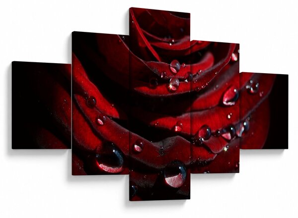Obraz - Detal róży (125x70 cm)