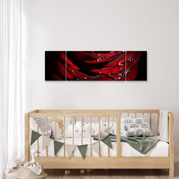 Obraz - Detal róży (170x50 cm)