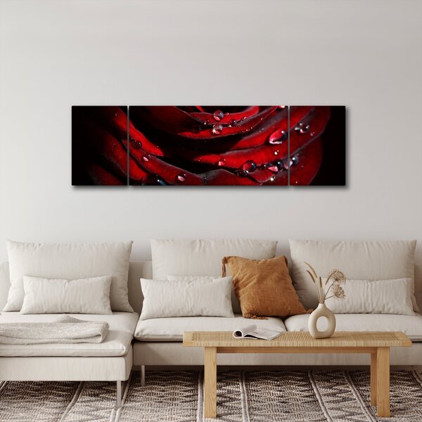 Obraz - Detal róży (170x50 cm)