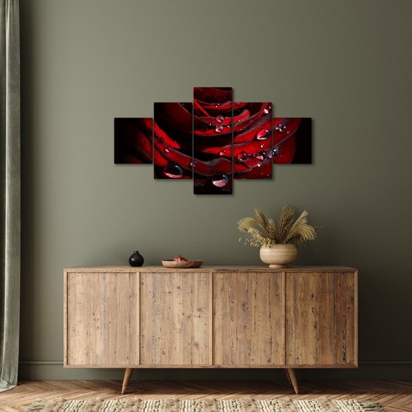 Obraz - Detal róży (125x70 cm)