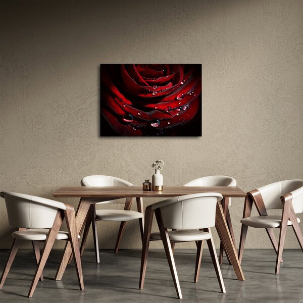 Obraz - Detal róży (70x50 cm)