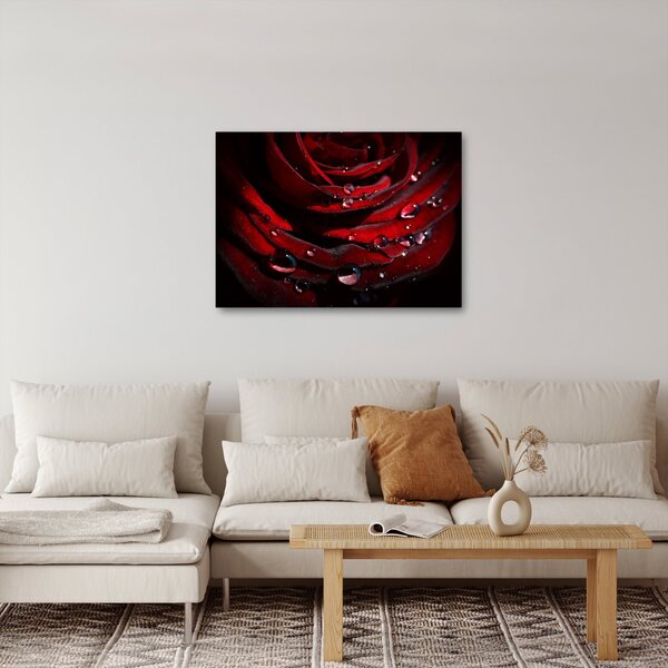 Obraz - Detal róży (70x50 cm)