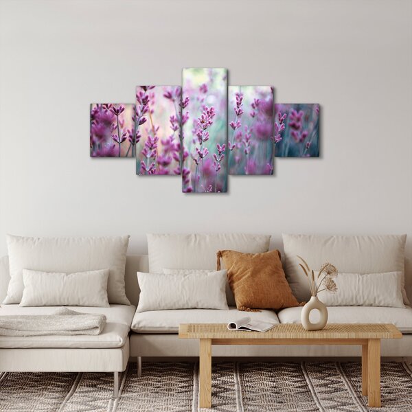 Obraz - Lawenda (125x70 cm)