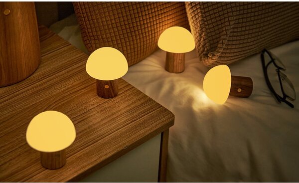 Lampa stołowa LED ze ściemniaczem z litego drewna jesionowego (wysokość 7 cm) Alice – Gingko