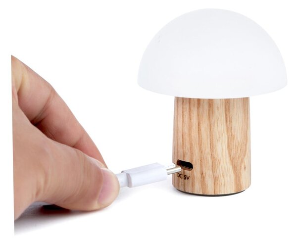 Lampa stołowa LED ze ściemniaczem z litego drewna jesionowego (wysokość 7 cm) Alice – Gingko