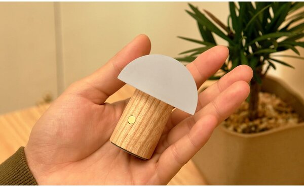 Lampa stołowa LED ze ściemniaczem z litego drewna jesionowego (wysokość 7 cm) Alice – Gingko