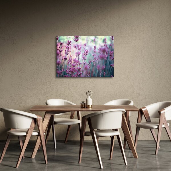 Obraz - Lawenda (70x50 cm)