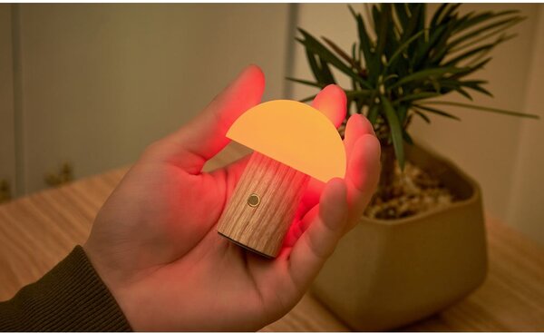 Lampa stołowa LED ze ściemniaczem z litego drewna jesionowego (wysokość 7 cm) Alice – Gingko