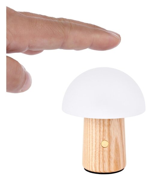 Lampa stołowa LED ze ściemniaczem z litego drewna jesionowego (wysokość 7 cm) Alice – Gingko