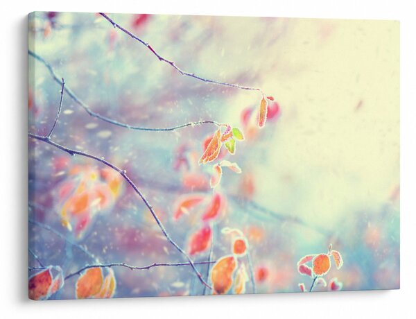 Obraz - Listki w lodzie (70x50 cm)
