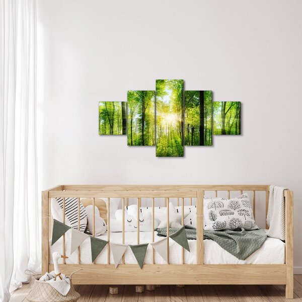 Obraz - Świt w lesie (125x70 cm)